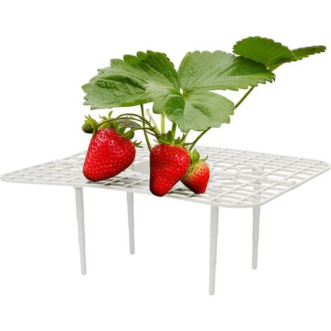 Support pour Fraises, Tomates et Legumes - Griffe de Fixation Plastique Blanc/Rose (24.8x20x9cm, 35g) (1/5)