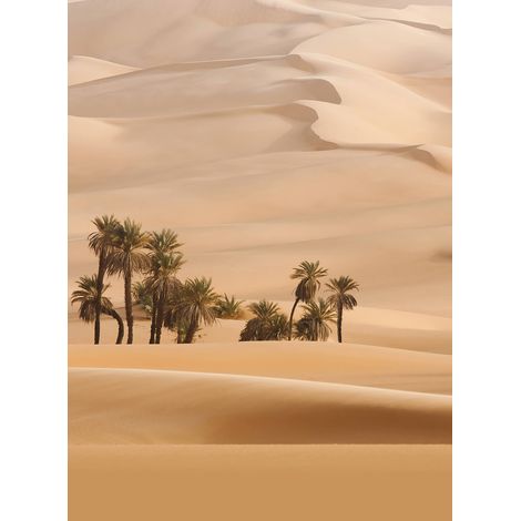 Papier peint panoramique beige dune & palmier | Tapisserie panoramique paysage désert | Papier peint panoramique salon & couloir - 192 X 260 cm (4 pièces) (1/2)
