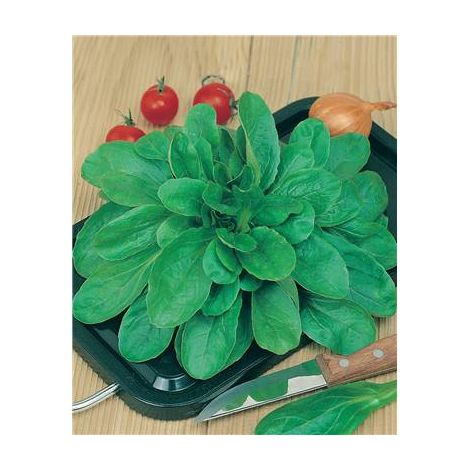 MACHE VERTE COEUR PLEIN 3 VOLHART - 10 G