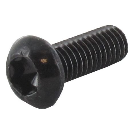 Vis tête Torx M6 x 15mm GGP - CASTELGARDEN 123878109/0