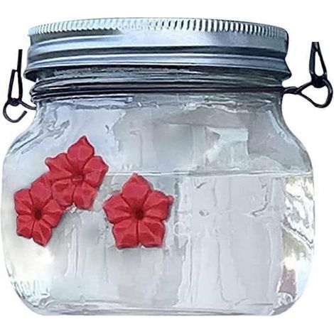 Mangeoire à oiseaux Mason Jar (1 paquet) avec ouverture pour nourrir les fleurs, type bocal-- (1/5)