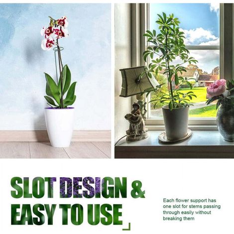 Lot de 6 tuteurs pour plantes à fleurs, support métallique à tige unique, tuteurs pour amaryllis, orchidées, lys, roses, tomates, vert foncé