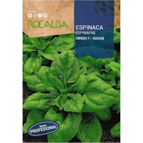 Rokalba Seeda Espinaca Hudson F-1 100gr