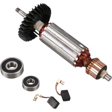 Sostituzione del rotore del motore CA 220-240 V (1/4)