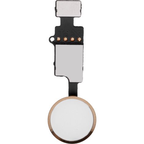 Câble Flex Module Bouton Principal Accueil de Remplacement pour iPhone 7/7 Plus/8/8 Plus Doré (1/5)