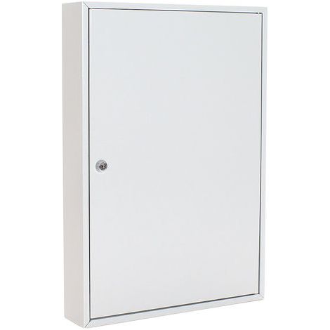 Armoire à clés S 100 H550xL380xP80mm 1 porte serrure à cylindre Nbr.crochets 100 ROTTNER (1/5)
