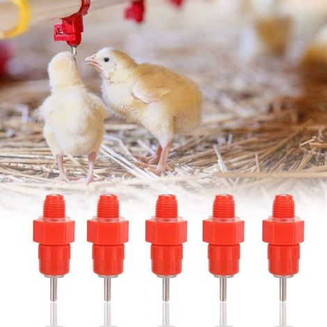 Abbeveratoio automatico a capezzolo, Kit abbeveratoio automatico, Abbeveratoio in plastica per pollame, Abbeveratoio automatico per pollame, Abbeveratoio per pollame, Abbeveratoi a capezzolo per acqua (1/4)