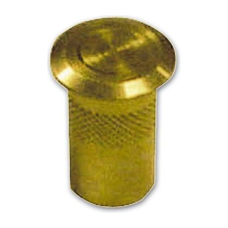 Pozzetto per Asta in Ottone con Molla 22 mm (1/2)