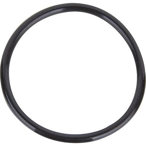 Joint torique Zehnder 95 x 6,8 pour pompes E-ZW