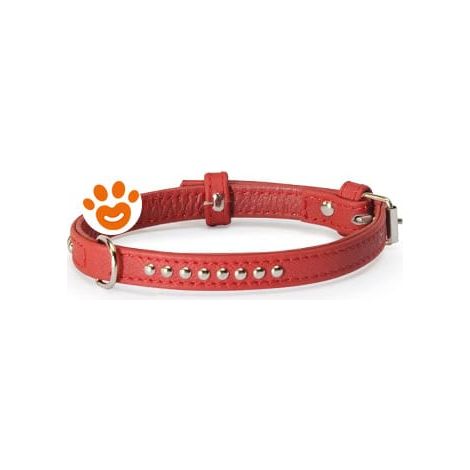 Camon Dog Collare Borchie Sfere Rosso (30x600) - Confezione 1 Pezzo - Accessori