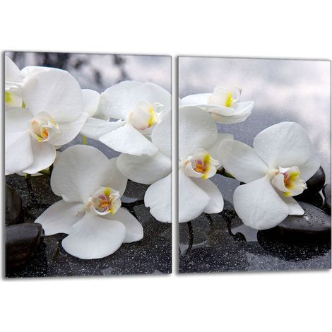 Piastra protettiva in vetro per stufa 2x40x52 Orchidea (1/5)