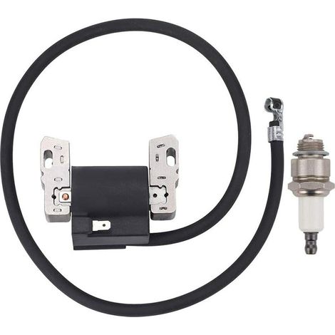 Bobine d'allumage compatible avec Briggs & Stratton 190402 à 190415 (1/4)