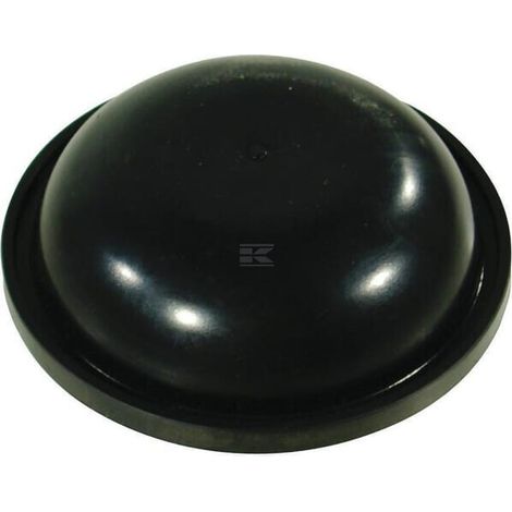 Membrane ANNOVI REVERBERI 650523