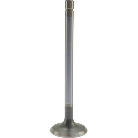Soupape d'échappement IMT Andoria, lot de 4, 1 pièce (1/4)