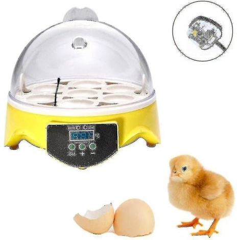 Incubateur automatique, capacité de 7 œufs, pour œufs de volaille, avec contrôle de la température, pour l'incubation à domicile et l'élevage contrôlé de volailles.-AquaForge (1/2)