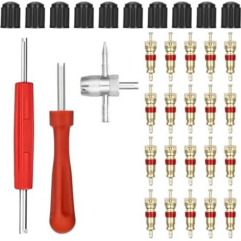 Kit Reparation Pneu Voiture, 33 Pcs avec Demonte Obus Valve à Double et Une Tête 4 en 1, 20 de 10 Capuchons Voiture pour Camions Vélos Motos Entretien Auto B - (1/5)