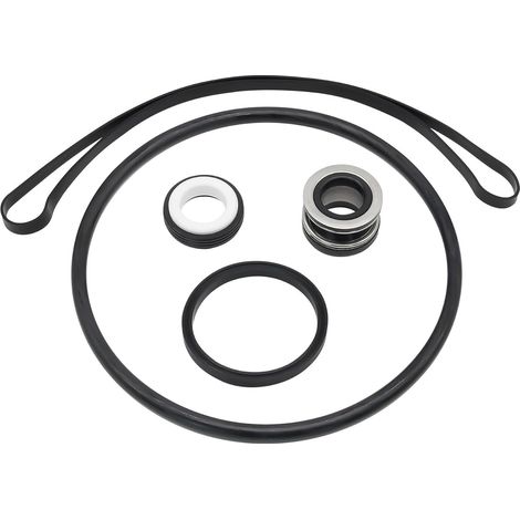 Kit de réparation de joint torique en caoutchouc pour pompe de piscine Hayward Super SP3000X SP1600 (1/5)