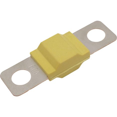 TRU COMPONENTS TC-13545884  Sicherung  60 A 80 V/DC  Inhalt 10 St. Bulk
