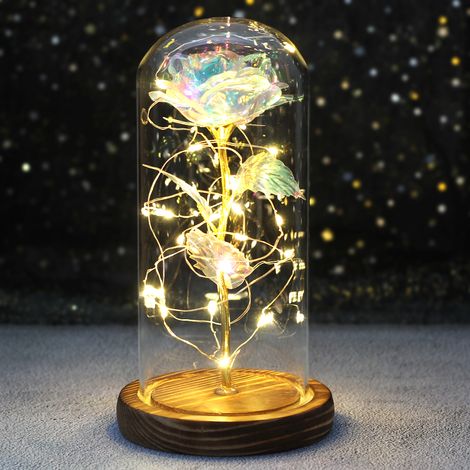 Enchanted Galaxy Rose de mariage LED avec lampes à dôme, Cadeau de Saint-Valentin pour Mère, Cadeau de Noël, Style La Belle et la Bête (1/4)
