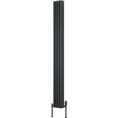 Reina Colona 3 Column Vertical Radiator 1800mm H x 200mm W - Anthracite (1/4)