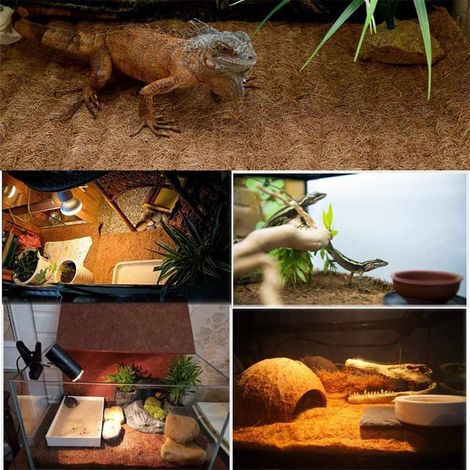 Alfombrilla para reptiles hecha de fibra de coco natural para tortugas, lagartos y serpientes – Alfombrilla resistente para terrario de 60 x 100 cm, color marrón. (1/5)