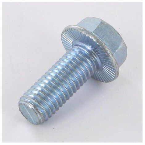 Schraube M10 25 mm VICON VN30268125 (1/2)