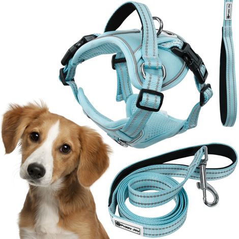 TUTUMI HUNDELEINE UND GESCHIRR PJ-058 M BLUE