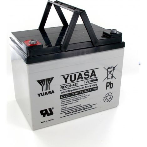 Batterie Plomb 12V 36Ah Yuasa (196X130X169) (REC36-12)