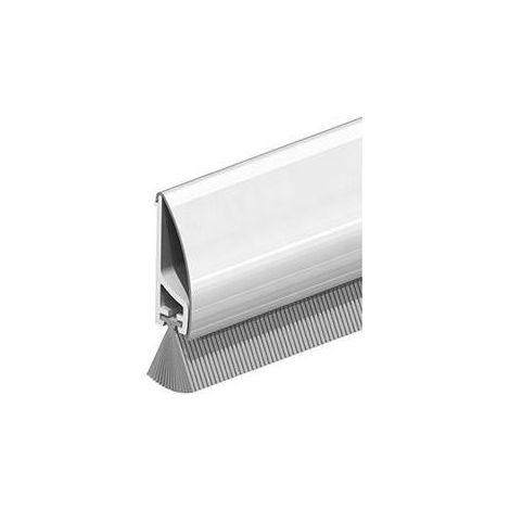 Joint de sol Inox Deluxe avec brosse visser. Acier argent.L1000 (1/4)