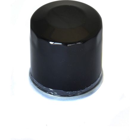 Filtro de aceite Athena HF204 para Honda CBR CBF 600 1000 VFR 800 VT 750 CRF 1100 (1/2)