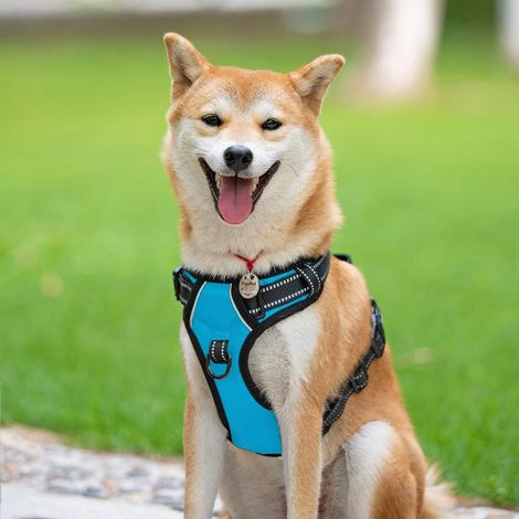 Harnais pour chien réglable anti-traction avec poignée et rembourrage confortable, harnais de sécurité respirant et réfléchissant pour promenades et entraînement