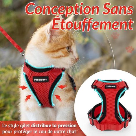 Harnais pour chat Rabbitgoo S rouge, réglable et réfléchissant, gilet respirant avec laisse (1/5)