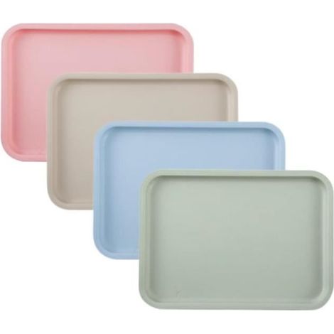 Plateau - Non spécifié - 24.8x17.8cm - Plastique de haute qualité - Design antidérapant - Léger et compact (1/4)