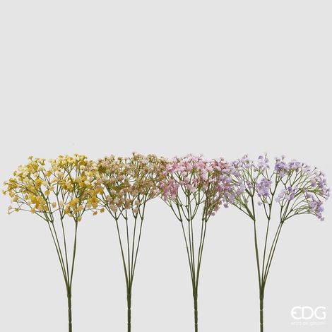EDG Gypsophila Cespuglio x5 Rosa H 40 cm (1/4)
