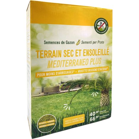 Scatola da 1 Kg di Semi per prato mediterraneo - Sementi per prato con germinazione rapida in 7 Giorni - Copertura 40m² (1/5)