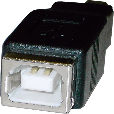 BeMatik - Adaptateur USB (BH/MiniUSB5pin-M) Type B (1/3)