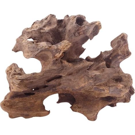 M Honey Comb Wurzel Nr.5192 Holz Deko Aquascaping