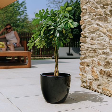 Vaso LANCELOT 29x26cm nero