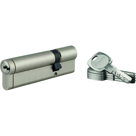 THIRARD - Lot de 10 cylindres Transit 1 30x80mm, nickelé, 5 clés - THIRARD