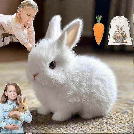 Petsboro Bunny Pal, Sherum Bunnypal, Fanyil Bunnypal, Jouet lapin réaliste (blanc)