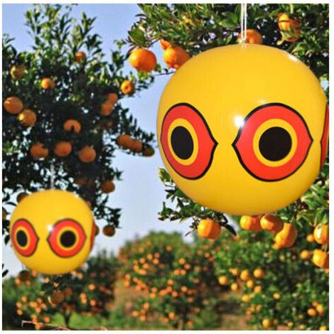 Vogelscheuchenballons für Tauben, Vögel, Reiher, Elstern, Kiebitze und Spatzen, (Ø) 400 mm, Gelb/Rot, STOL FLITI