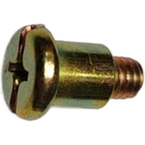 Tornillo Fijacion compatible con Honda gx100, 60, 160, 200