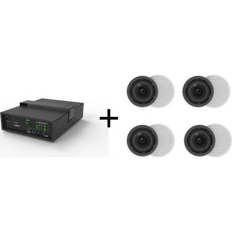 Ensemble audio Vivolink : caisson de basses 8" 50W + 4 haut-parleurs de plafond