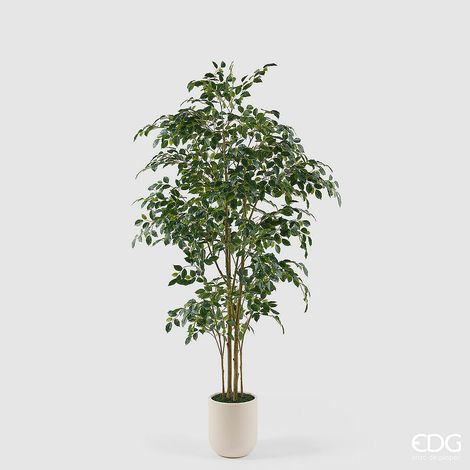 EDG Enzo De Gasperi Pianta Artificiale Ficus Beniamino Vogue con Vaso H210 cm – Pianta Decorativa Realistica Design Moderno