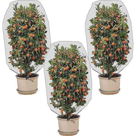 Filet Arbre Fruitier,Filet de Protection Fruitier,3 Pièces Sac de Plantes avec Cordon de Serrage,Anti-Insectes Couverture,Maille Fine Maille pour la Protection des Légumes et Fruits 150X100CM (1/5)