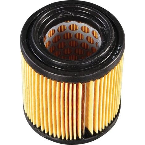 Filtre à air AS-MOTOR E04221ASM