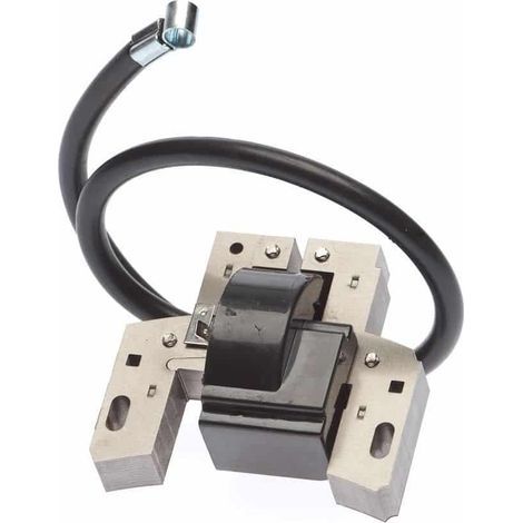 Pour Briggs & Stratton – bobine d’allumage 10 à 14 CV – entraxe de fixation 64,5 mm – remplace les références 492341, 490586, 491312, 495859