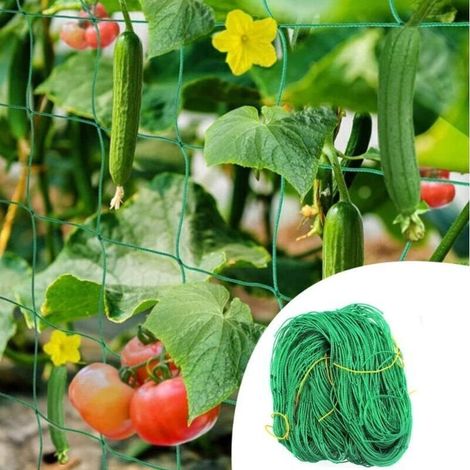 Filet pour Plantes Grimpantes Treillis Jardin Filet 2m x 5m Support Plante Grimpante Filet de Fixation Filet de Jardin pour Plant de Iégumes Tomate Concombre (1/5)