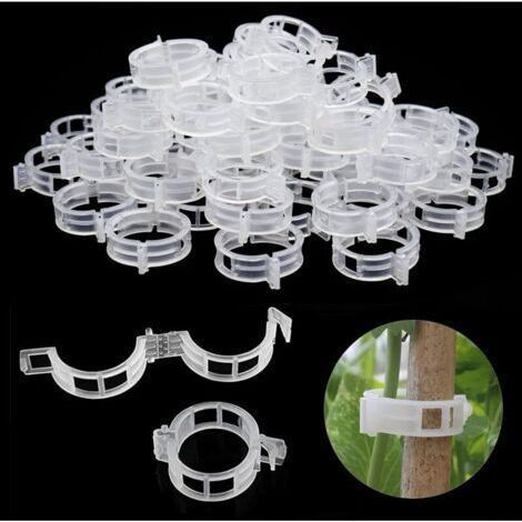 Attache Tomate, 300 Pcs Tuteur Grimpante Support pour Plante Grimpantes, Clips pour Jardinage et Potager (1/4)