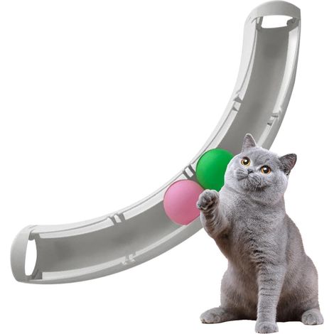 Giocattolo per gatti  Giocattolo interattivo per gatti  Esercizi mentali (1/5)